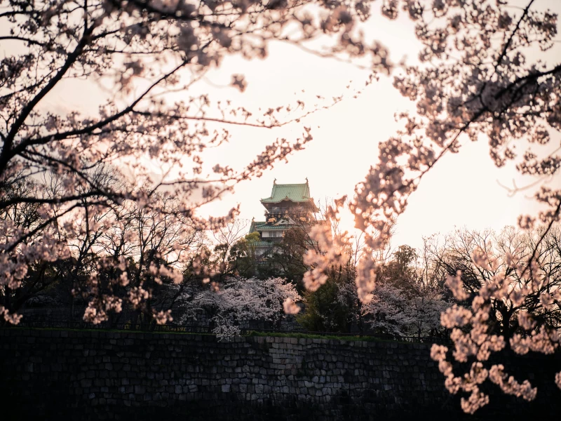 Osaka Castle